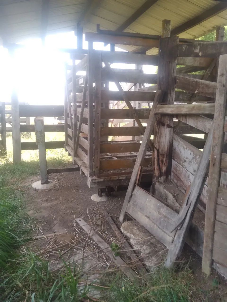 Fazenda - Foto 4