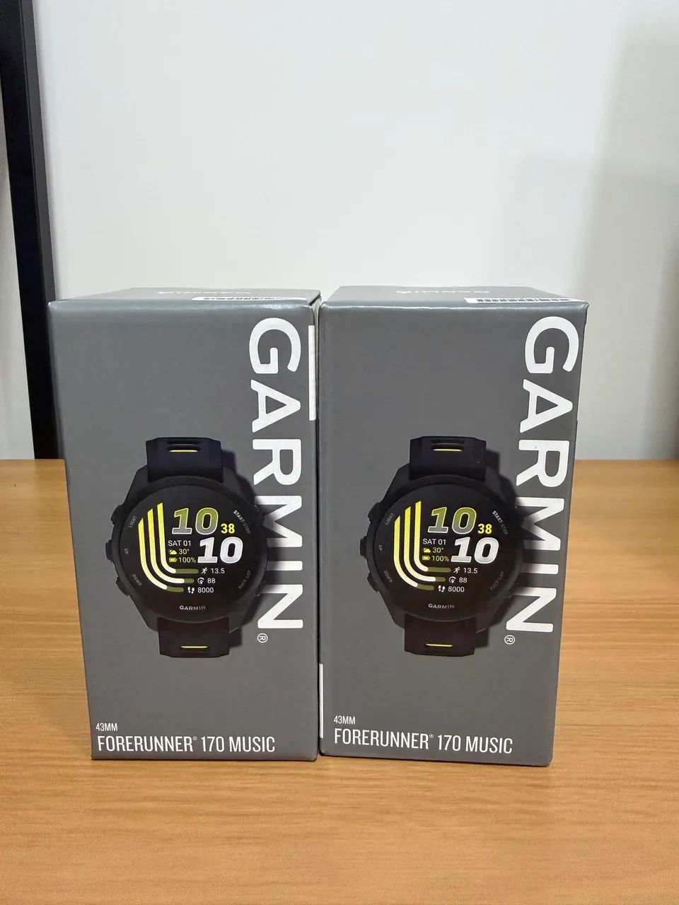 Garmin 170 music 