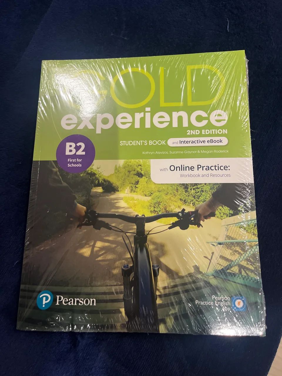 Gold experience book 