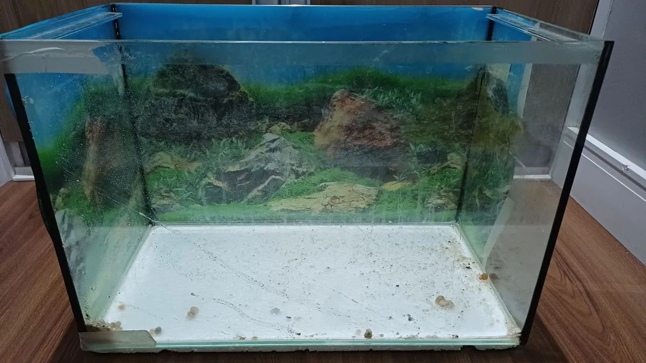 Aquario de vidro retangular  - Foto 2