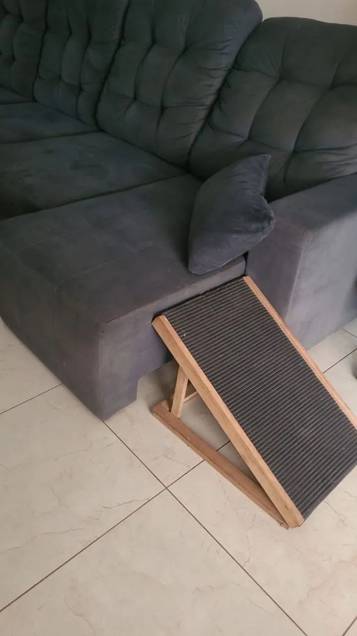 Rampa para pets - Foto 2