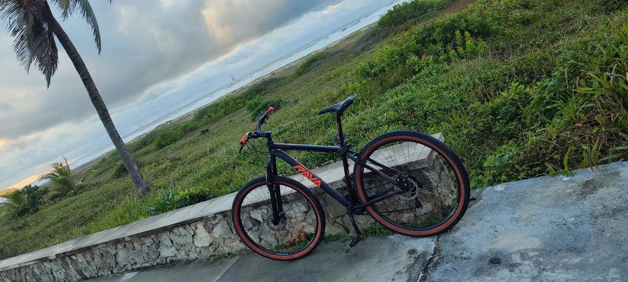 Bike Aro 29 
