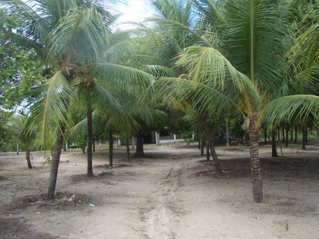 Sítio em Pacatuba, Ceará, Região Metropolitana de Fortaleza - Foto 7
