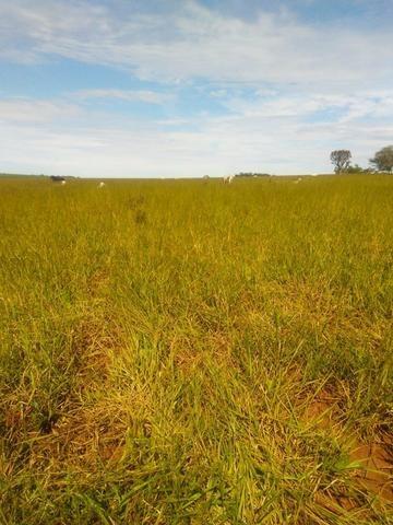 Terra para lavoura 30 km de Campo Grande