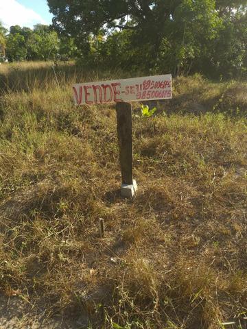 Vendo 3 terrenos 6mil cada em dias d'ávila próximo a escola e ponto de ônibus - Foto 2