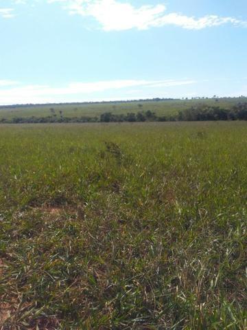Terra para lavoura 30 km de Campo Grande - Foto 7