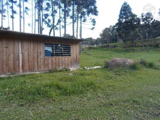 Chacara agudos do sul as margens pr 281 troco caminhao guincho munk - Foto 6