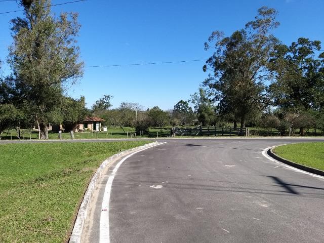 Sítio 2,9hec, no asfalto Lami POA/Itapuã, junto à rotatória, ótimo ponto comercial - Foto 10