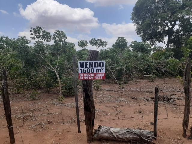 Vendo Terreno de esquina medindo 30 x 50 m em T. Lagoas.Ms