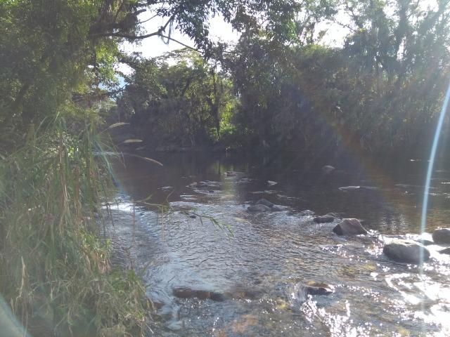 Área com 30 hectares com 600 metros de rio - Foto 14
