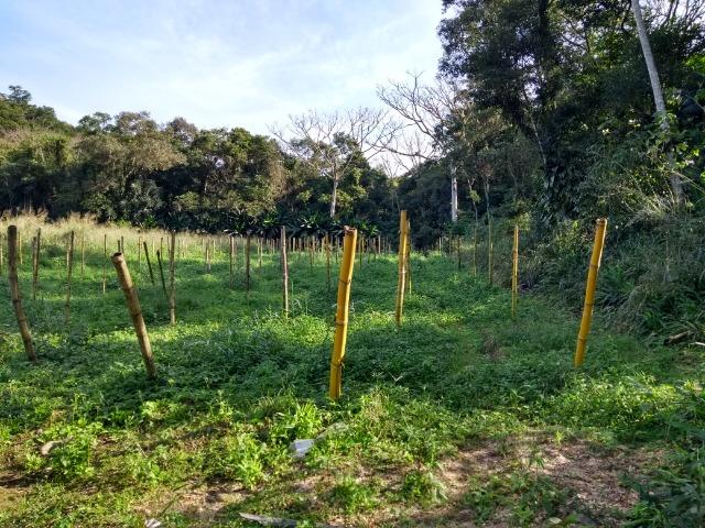 Área com 30 hectares com 600 metros de rio - Foto 7