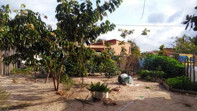 Terreno