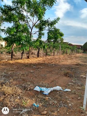 Vendo Terreno de esquina medindo 30 x 50 m em T. Lagoas.Ms - Foto 2