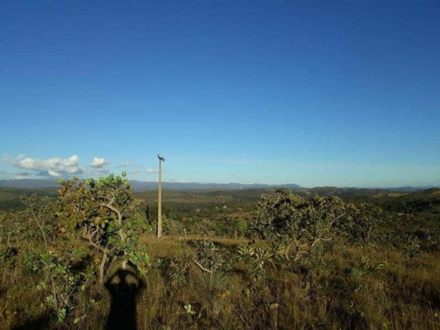 Terreno / Área - TAV53 - Foto 8