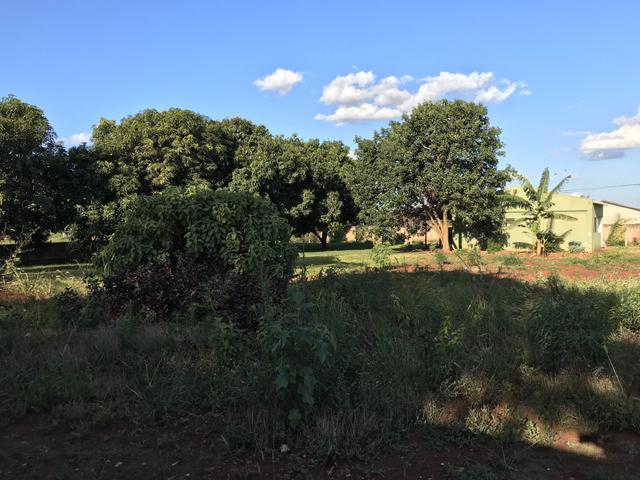 Terreno em Dourados-MS - Foto 6