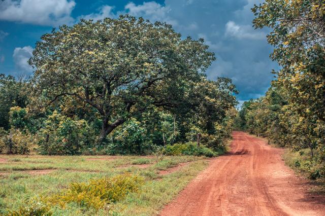 Fazenda para agricultura e pecuária - Foto 3