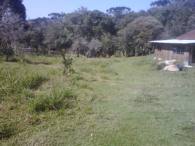 Chacara agudos do sul as margens pr 281 troco caminhao guincho munk - Foto 19