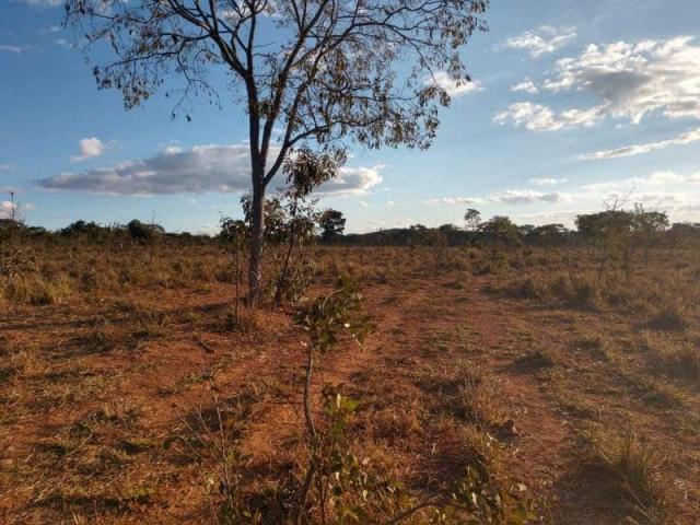 Fazenda - TAV60 - Foto 9