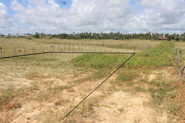 Excelente terreno beira mar na praia de Monte Alegre - TE0019 - Foto 4
