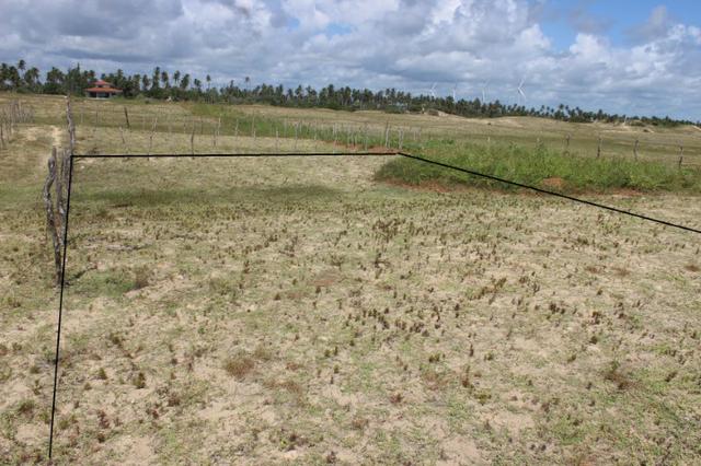 Excelente terreno beira mar na praia de Monte Alegre - TE0019 - Foto 6