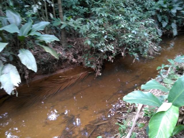 Chácara - América de Baixo - Morretes - Foto 11