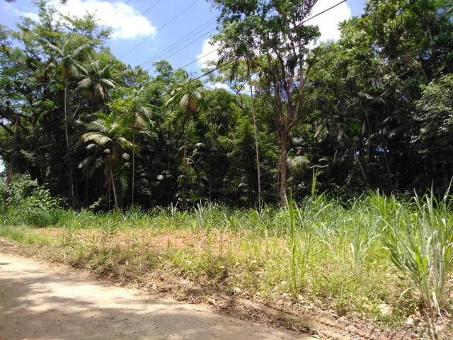Chácara - América de Baixo - Morretes - Foto 14