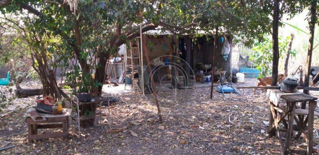 Chácara 1.4 ha em santo antônio do leverger - Foto 3