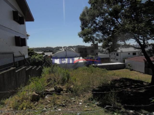 Terreno em caxias do sul - Foto 3
