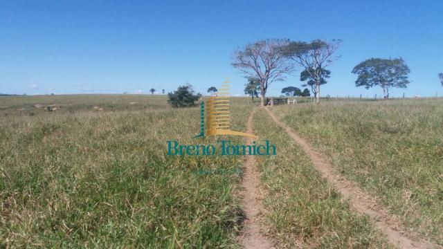 Fazenda à venda, 5227200 m² por r$ 10.800.000 - itabela - itabela/ba - Foto 15