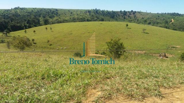 Fazenda à venda, 5227200 m² por r$ 10.800.000 - itabela - itabela/ba - Foto 8