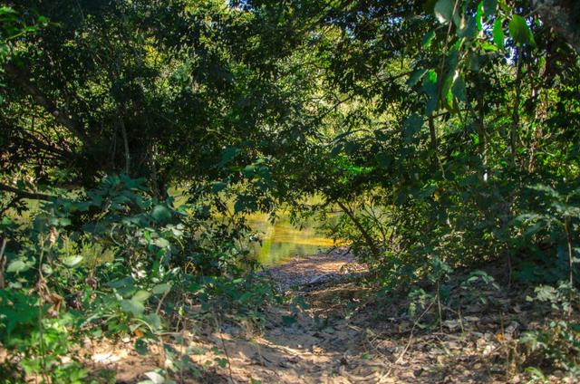 Chácara no Coxípó do Ouro - Foto 6