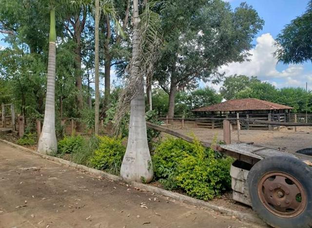 Sítio dos sonhos / Permuta Casa - Foto 20