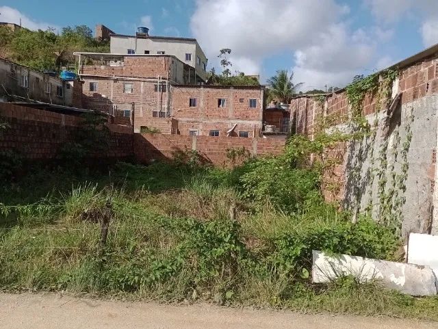 Terreno medindo 10m por 20 metros. Aproveite!!! - Foto 5