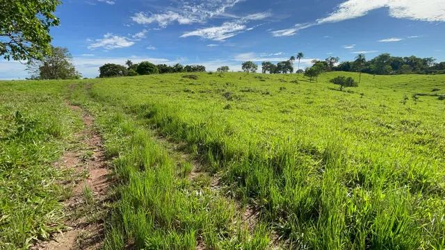 Vende-Se 13 alqueires em Trindade-GO - Foto 4
