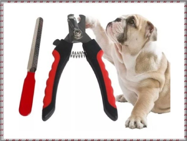 Kit cortador e lixa para pets - Cães e gatos - Foto 2