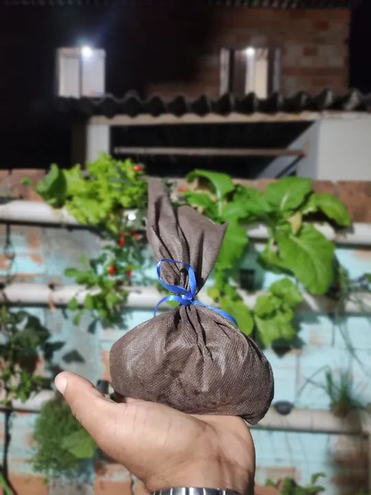 Vendo minhocas californianas R$25,00 - 100 minhocas  - Foto 3