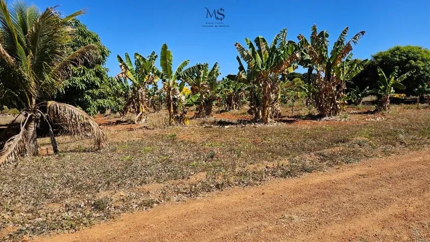 Lote(chácara)  condomínio fechado - Santa Maria-DF - Foto 10