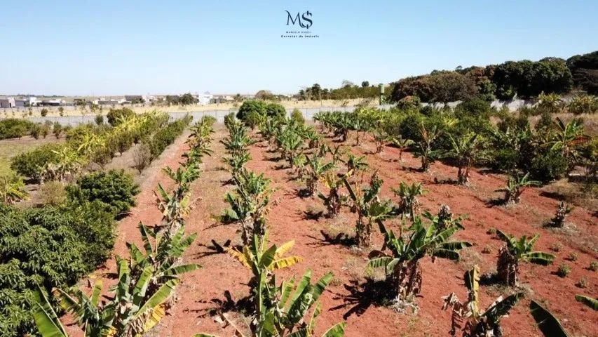 Lote(chácara)  condomínio fechado - Santa Maria-DF - Foto 14