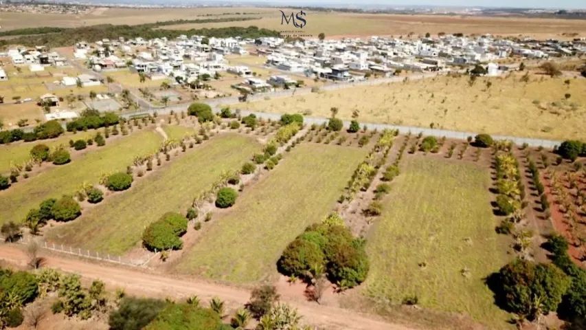 Lote(chácara)  condomínio fechado - Santa Maria-DF - Foto 13