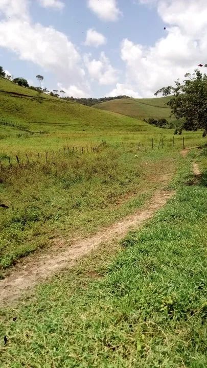 Fazenda em São José da Lage/AL, acesso a rodovia BR 104 até o imóvel rural é 6 Km.