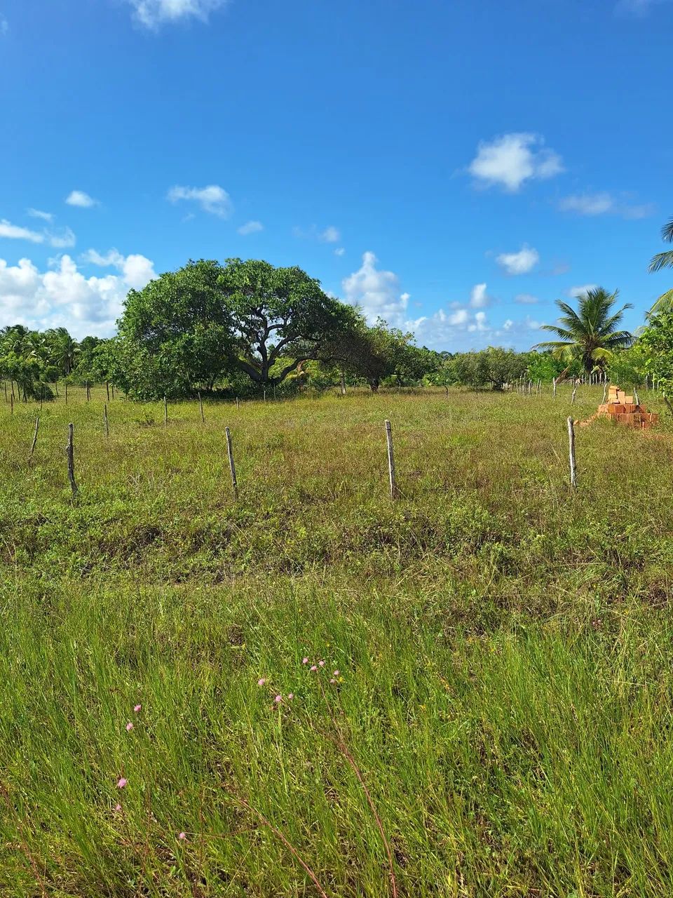 Vendo terreno Pirambu com 450m²