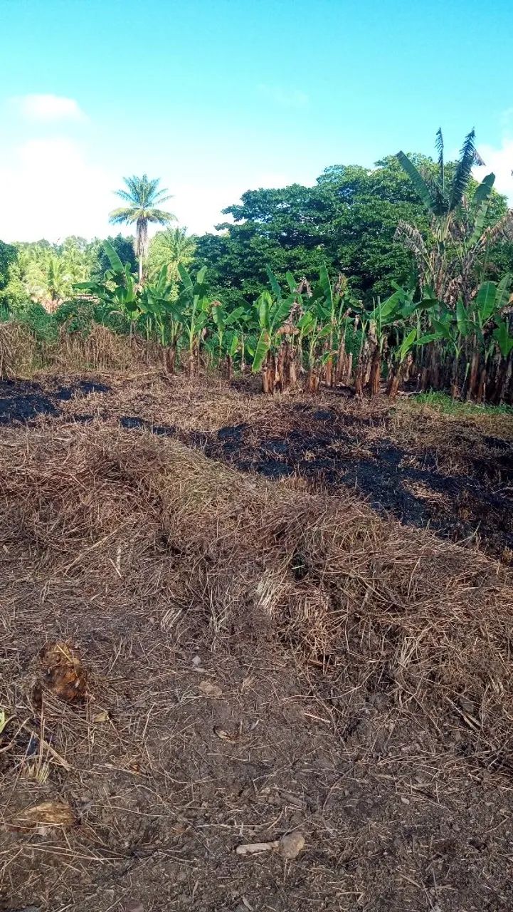 Vende-se um terreno em palmares Simões filho