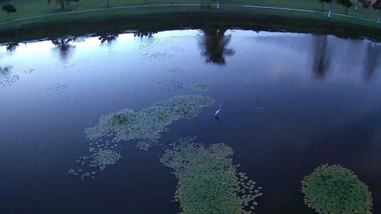 Drone L600 pro max e drone S2S - Foto 3