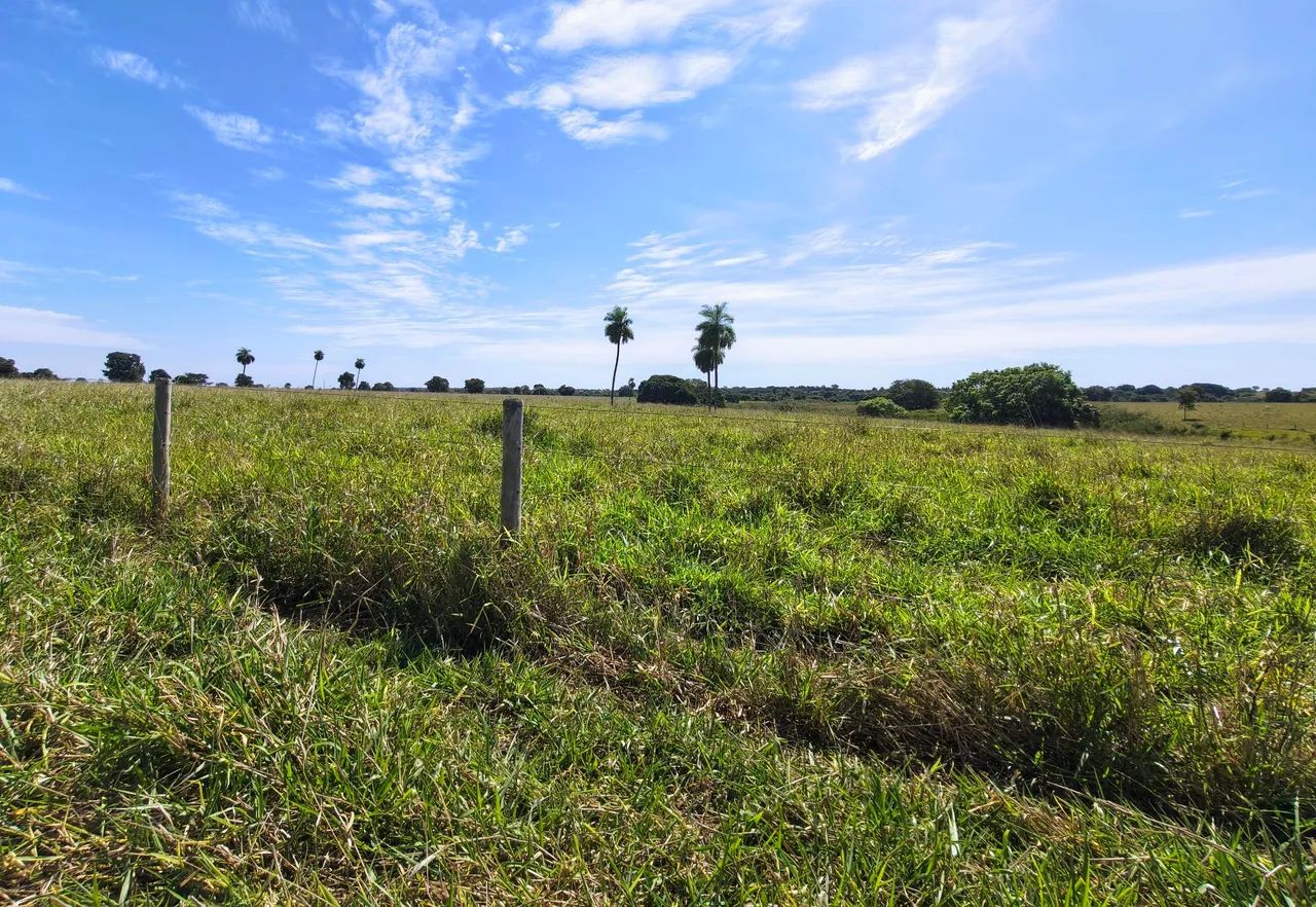 Fazenda Extra 90 Alqueires - Dupla Aptidão  - Foto 5