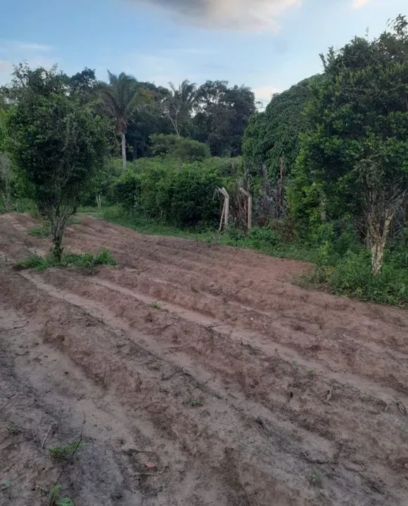 Sítio a venda em Viçosa do Ceará  - Foto 3