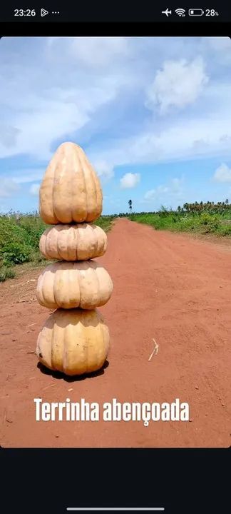 JERIMUM DE LEITE - Foto 2