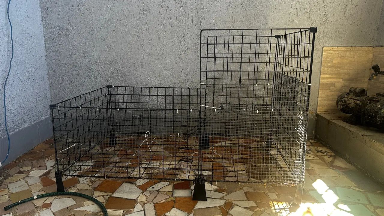 Gaiola Aramada para porquinho da índia  - Foto 2