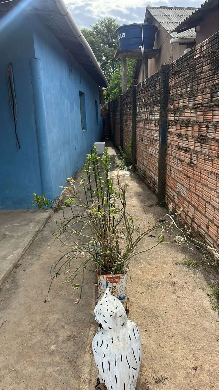 Foto - Boa Vista - Operário