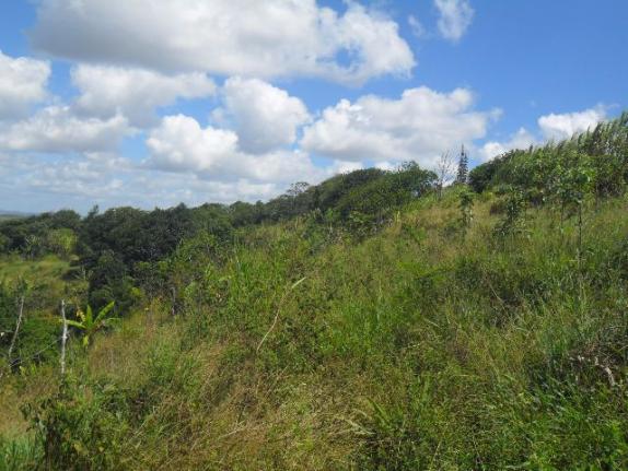 Fazenda Santana - Gravatá/PE - Zona Rural - Foto 9