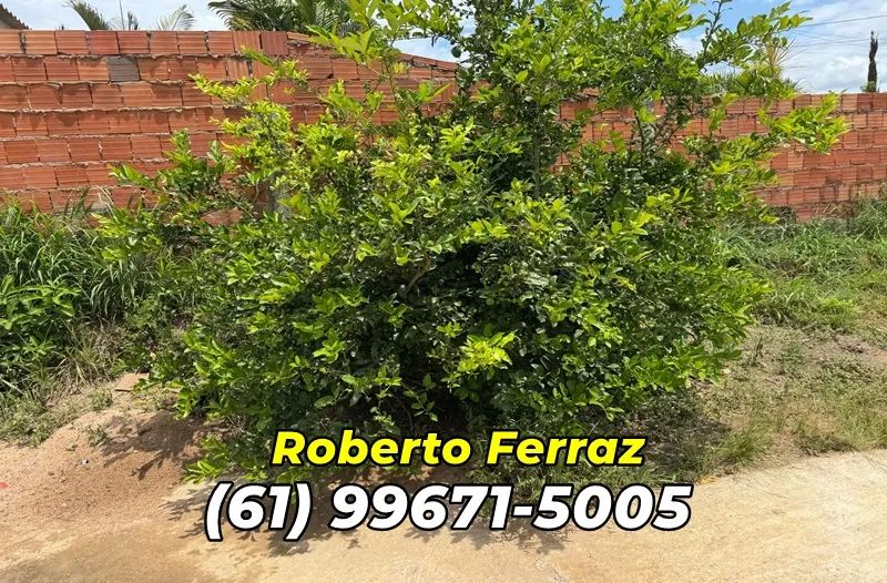 Nautico Tarumã  - Corumbá 4 - Casa com 05 Suítes e *Piscina. - Foto 4